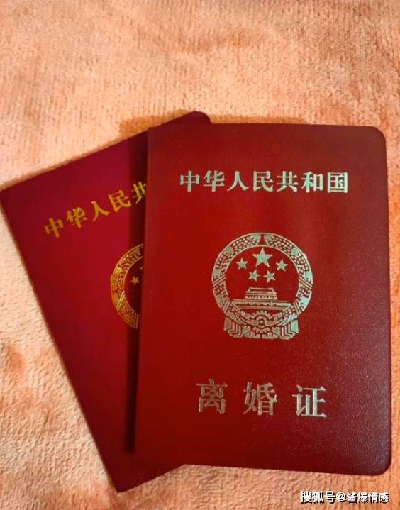 专业离婚证制作案例 - 律师事务所合作